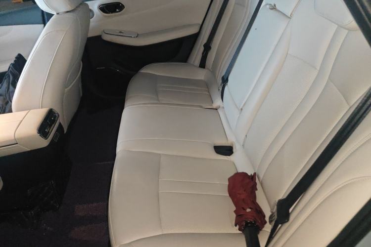Used AION S MAX 2024 80 Xinghan Edition Ternary Lithium Left Rear Seat