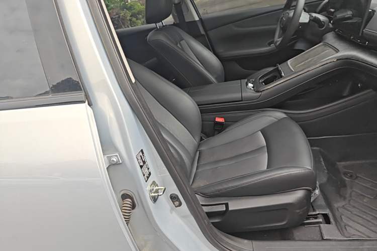 Used AION S MAX 2024 70 Star Edition Right Front Seat