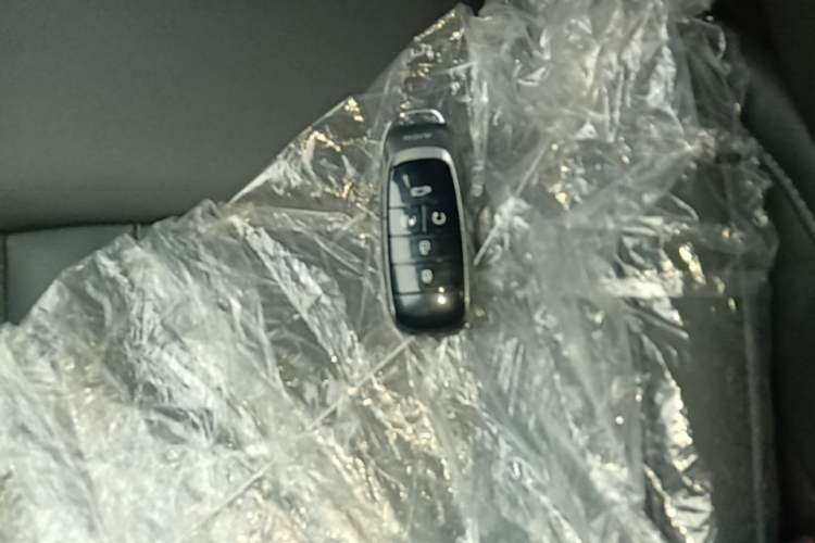 Used AION S MAX 2024 70 Star Edition Vehicle Key