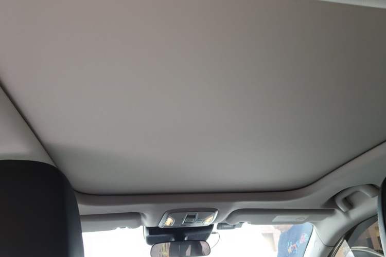 Used AION S MAX 2024 70 Star Edition Headliner