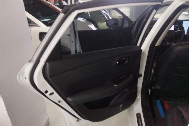 Used AION S MAX 2024 80 Star Edition Ternary Lithium Left Rear Door Interior