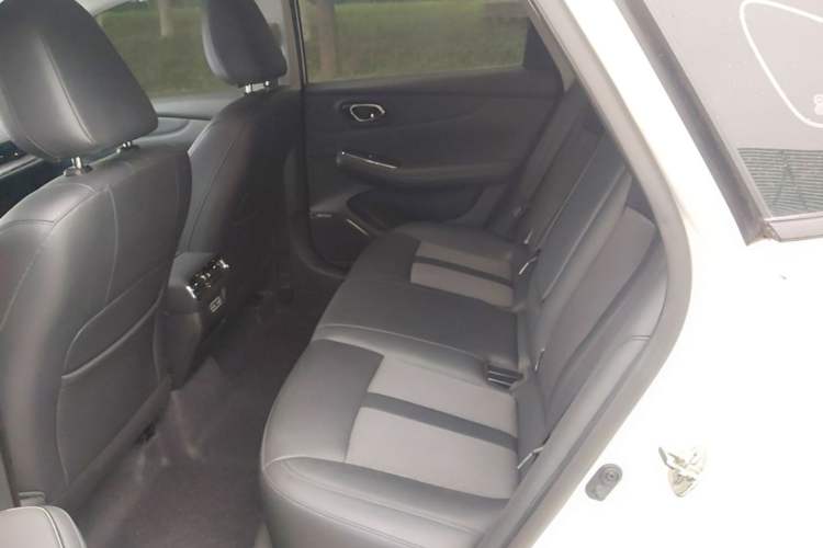 Used AION S MAX 2024 70 Executive Edition Left Rear Seat
