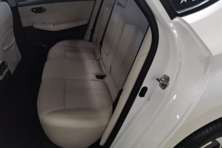 Used AION S MAX 2024 80 Star Edition Ternary Lithium Left Rear Seat