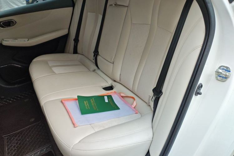 Used AION S MAX 2024 80 Star Edition Ternary Lithium Left Rear Seat