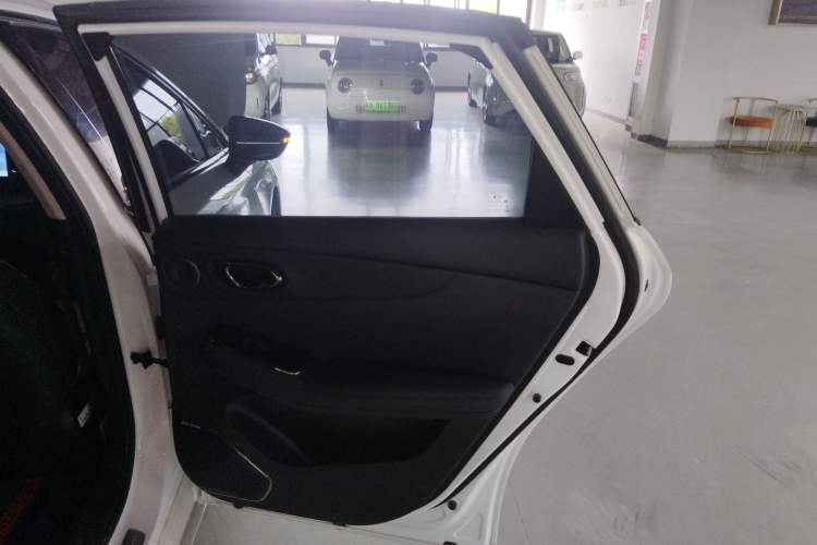Used AION S MAX 2024 80 Star Edition Ternary Lithium Right Rear Door Interior