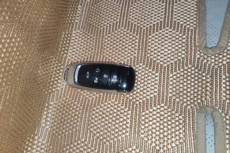 Used AION S Plus 2021 70 Tech Edition Vehicle Key