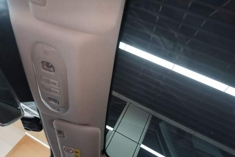 Used AION S Plus 2021 70 Tech Edition Headliner