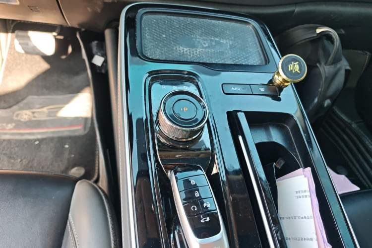 Used AION S Plus 2021 80 Ultra-Long Range Edition Gear Lever