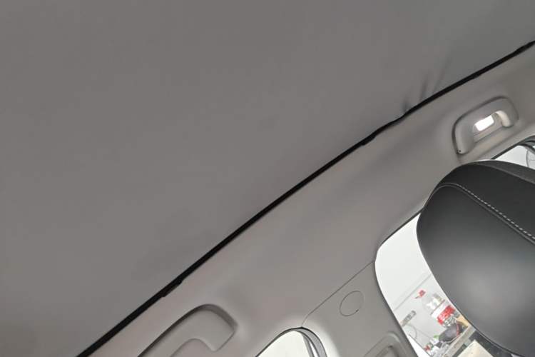 Used AION S Plus 2021 80 Tech Edition Headliner