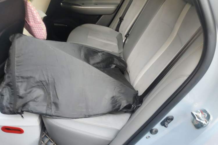 Used AION S Plus 2021 60 Intelligent Edition Left Rear Seat