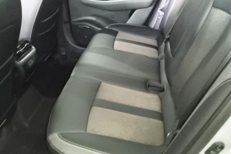 Used AION S Plus 2021 70 Intelligent Edition Left Rear Seat
