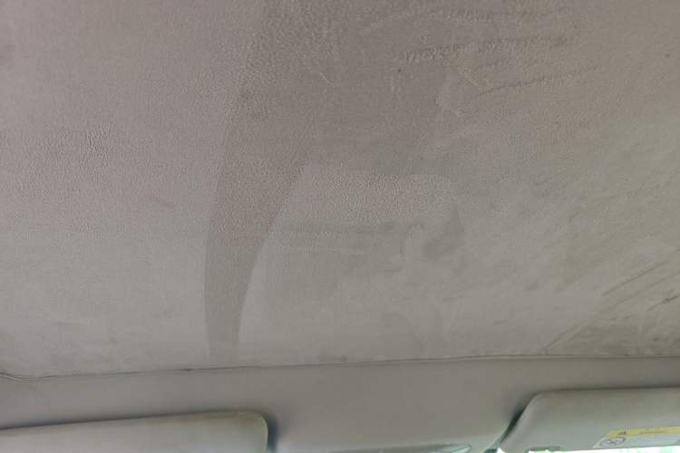 Used AION S Plus 2021 70 Tech Edition Headliner