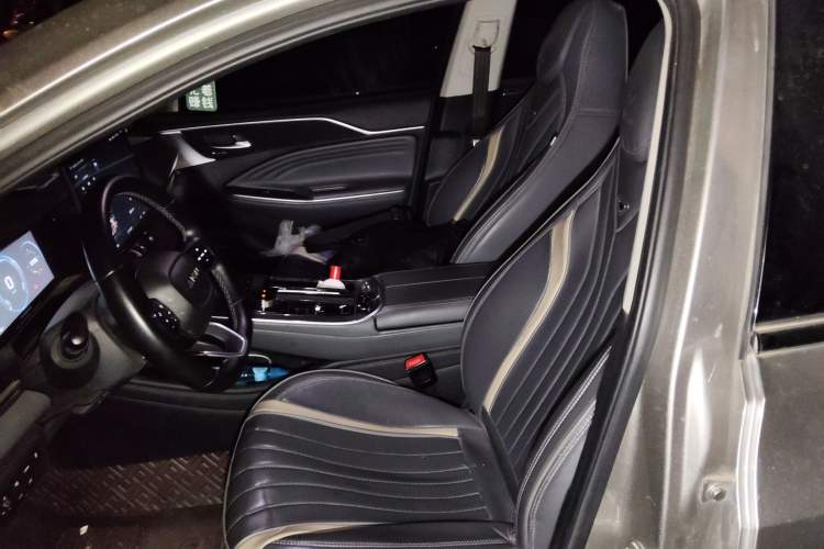 Used AION S Plus 2022 70 Intelligent Edition Left Front Seat
