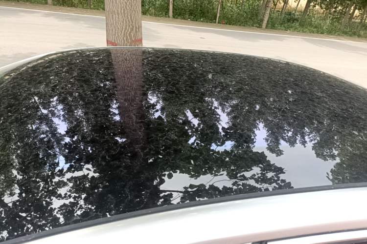 Used AION S Plus 2022 70 Intelligent Edition Roof