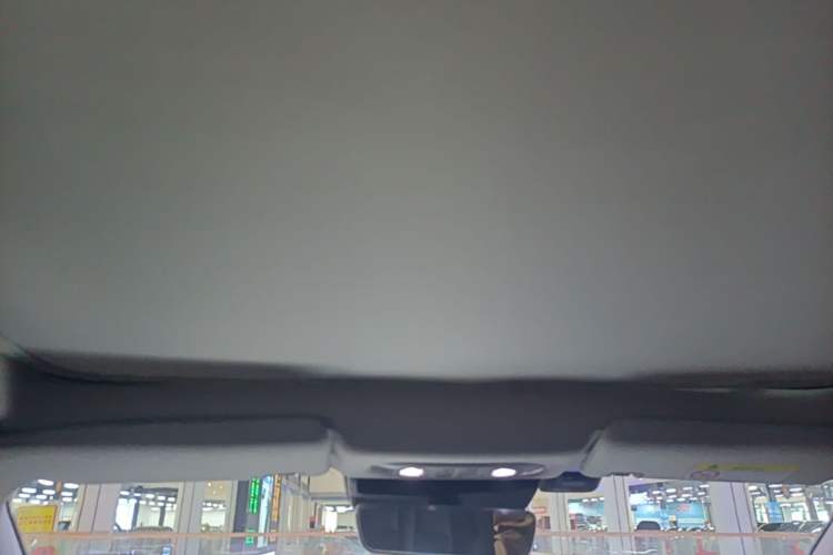Used AION S Plus 2022 80 Tech Edition Headliner
