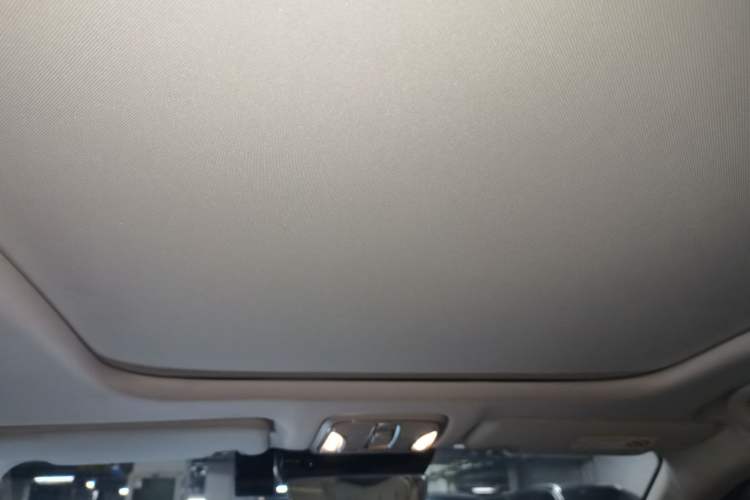Used AION S Plus 2022 80 Tech Edition Headliner