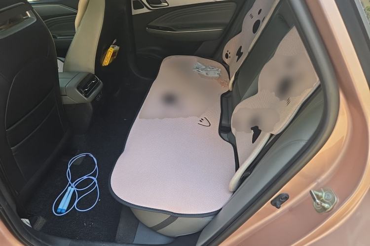 Used AION S Plus 2022 70 Intelligent Driving Edition Left Rear Seat