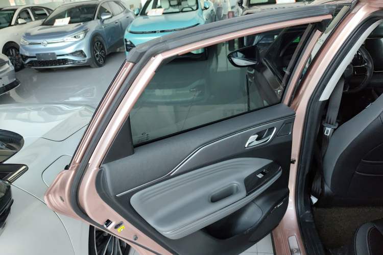 Used AION S Plus 2022 80 Intelligent Driving Version Left Rear Door Interior