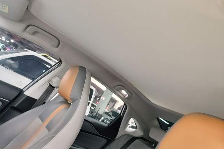 Used AION S Plus 2022 70 Intelligent Edition Headliner