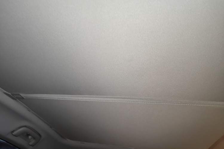 Used AION S Plus 2022 80 Tech Edition Headliner