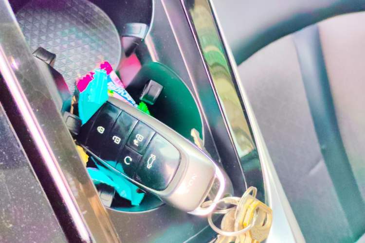 Used AION S Plus 2022 80 Tech Edition Vehicle Key