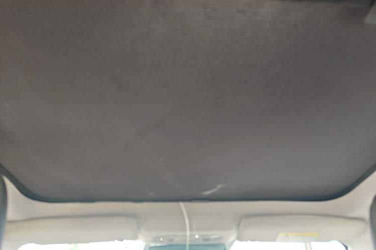 Used AION S Plus 2022 70 Enjoy Edition Headliner