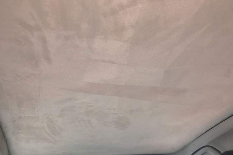 Used AION S Plus 2022 70 Intelligent Edition Headliner