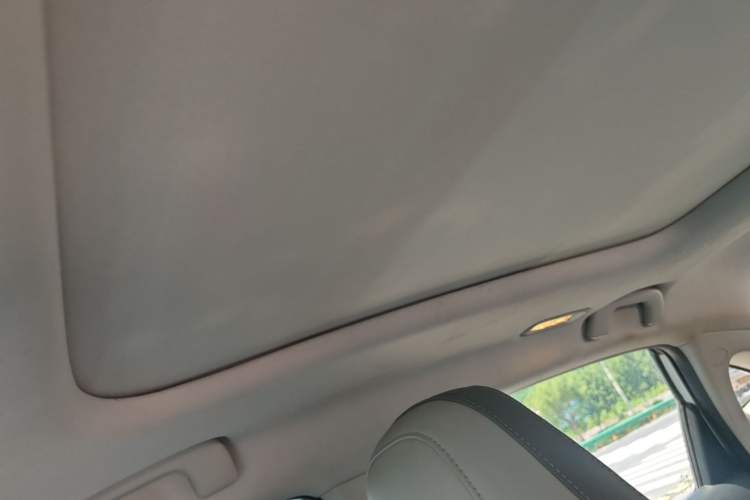 Used AION S Plus 2022 80 Tech Edition Headliner