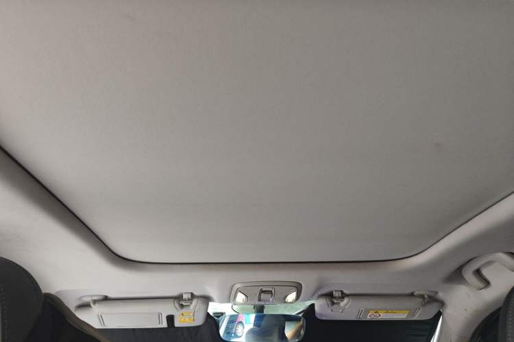 Used AION S Plus 2023 70 Enjoyment Edition Ternary Lithium Headliner