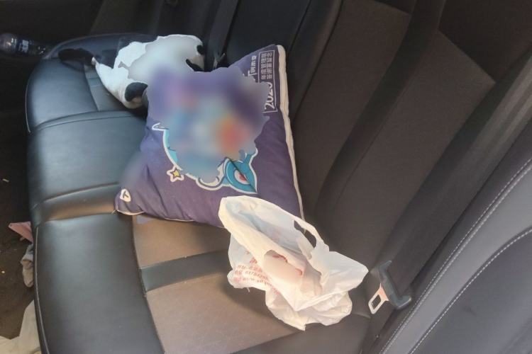 Used AION S Plus 2023 70 Enjoy Edition Lithium Iron Phosphate Left Rear Seat