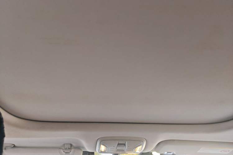 Used AION S Plus 2023 70 Enjoy Edition Lithium Iron Phosphate Headliner