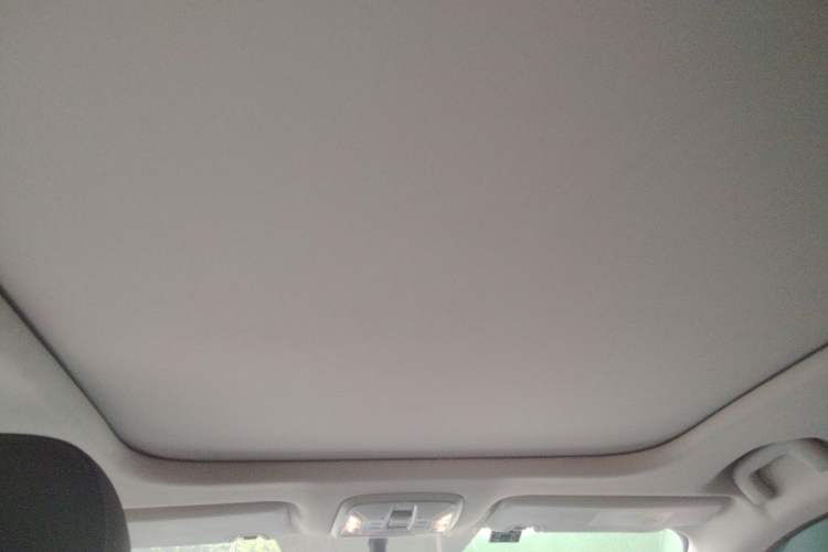 Used AION S Plus  Headliner