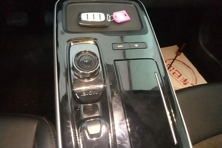 Used AION S Plus 2025 Comfort Version 53.241 kWh Gear Lever