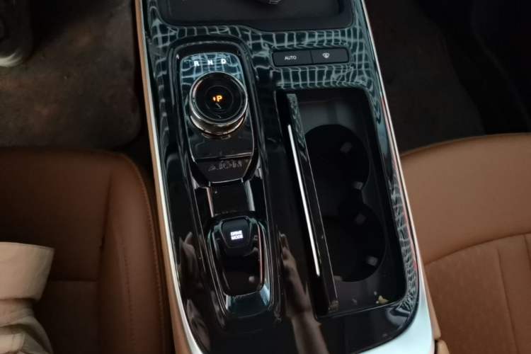 Used AION S Plus 2025 Comfort Version 53.241 kWh Gear Lever