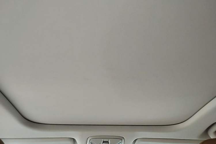 Used AION S Plus 2025 Travel Edition 53.241 kWh Headliner