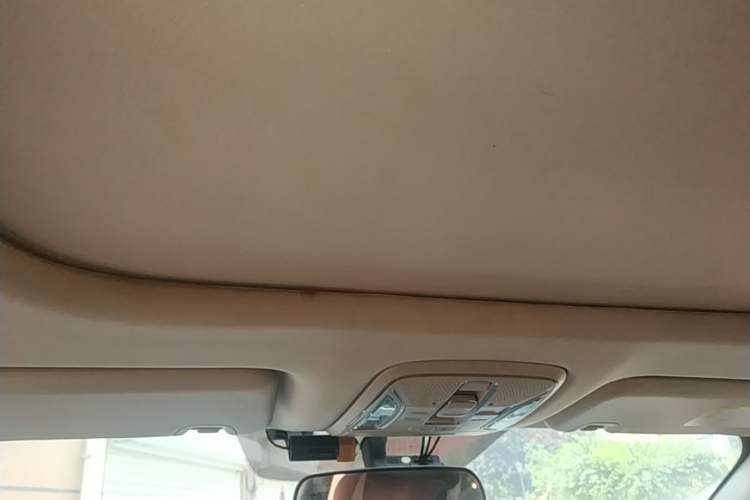 Used AION S Plus 2025 Travel Edition 53.241 kWh Headliner