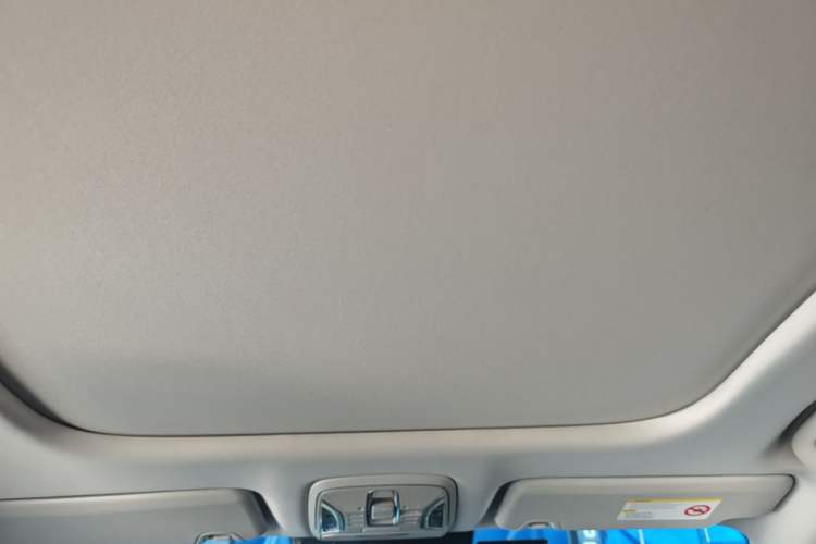 Used AION S Plus 2026 Model Comfort Edition Headliner