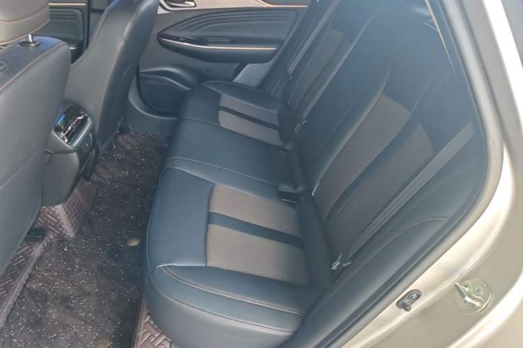 Used AION S Plus 2026 Model Comfort Edition Left Rear Seat