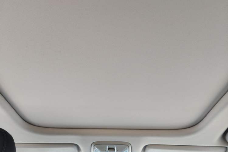 Used AION S Plus 2026 Model Luxury Edition Headliner