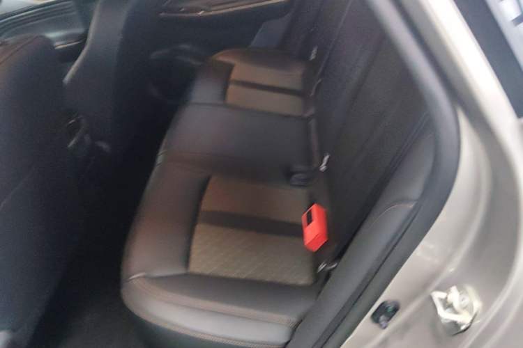 Used AION S Plus 2026 Model Comfort Edition Left Rear Seat