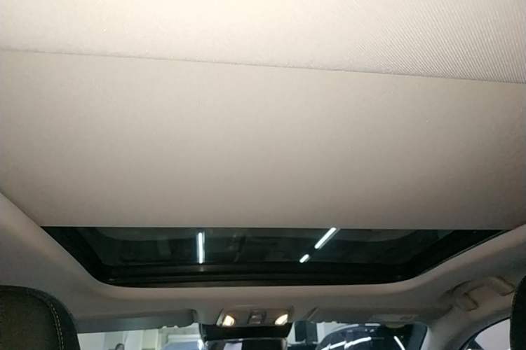 Used AION S Plus 2026 Model Comfort Edition Headliner