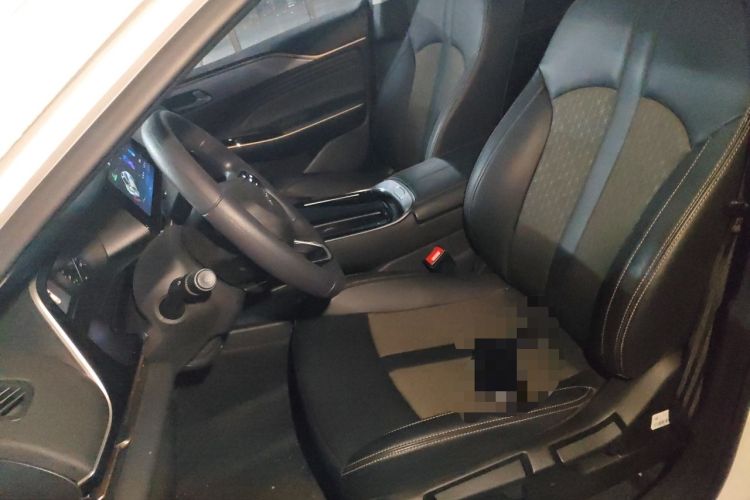 Used AION S Plus 2026 Model Comfort Edition Left Front Seat