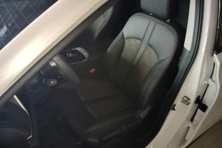 Used AION S Plus 2026 Model Comfort Edition Left Front Seat
