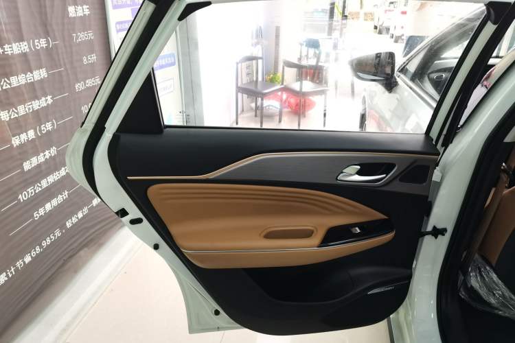 Used AION S Plus 2026 Model Comfort Edition Left Rear Door Interior