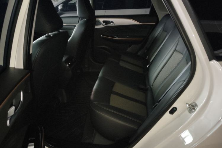 Used AION S Plus 2026 Model Comfort Edition Left Rear Seat