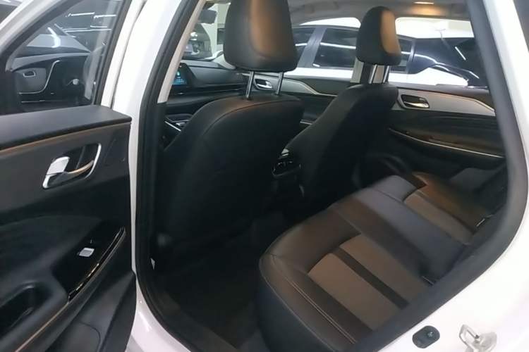 Used AION S Plus 2026 Model Comfort Edition Left Rear Seat