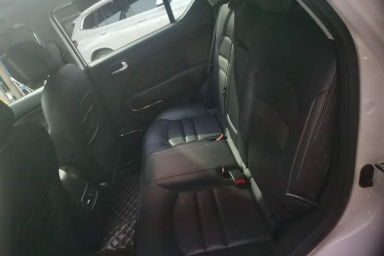 Used AION Trumpchi GE3 2017 310 Prestige Edition Left Rear Seat