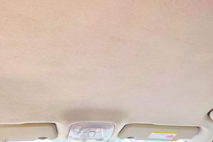 Used AION Trumpchi GE3 2018 530 Enjoy Edition Headliner