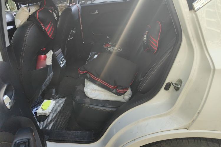 Used AION Trumpchi GE3 2018 530 Internet Enjoyment Version Left Rear Seat