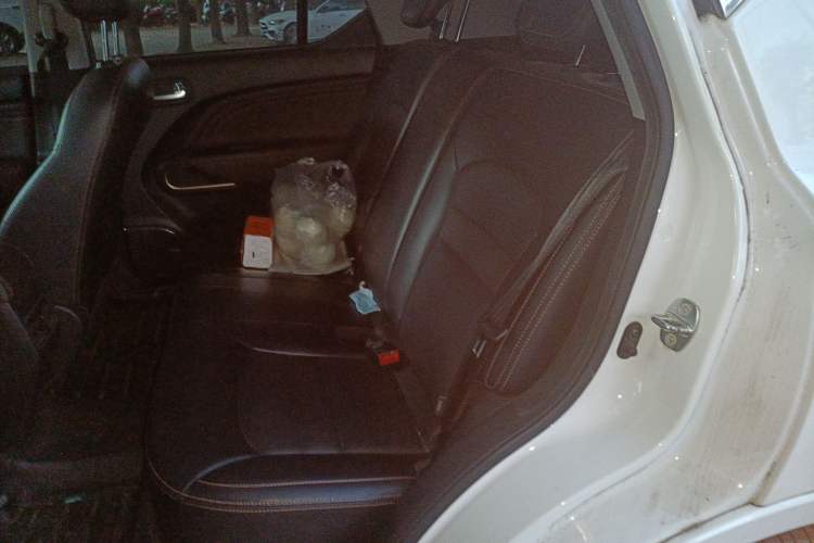 Used AION Trumpchi GE3 2018 530 Internet Enjoyment Version Left Rear Seat